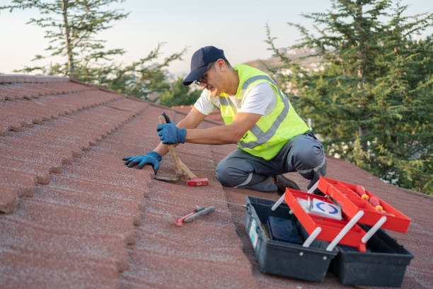 Best Gutter Installation and Roofing  in Belleville, PA