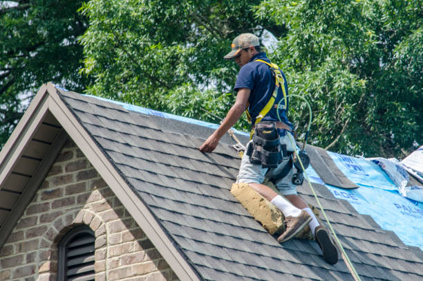 Best Emergency Roof Repair  in Belleville, PA